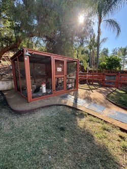Custom built chicken coop