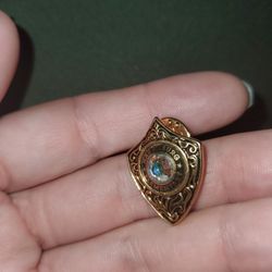 Harrisburg School Pin.