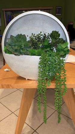 Succulent fake wall planter arrangements, suculentas indoor and outdoor