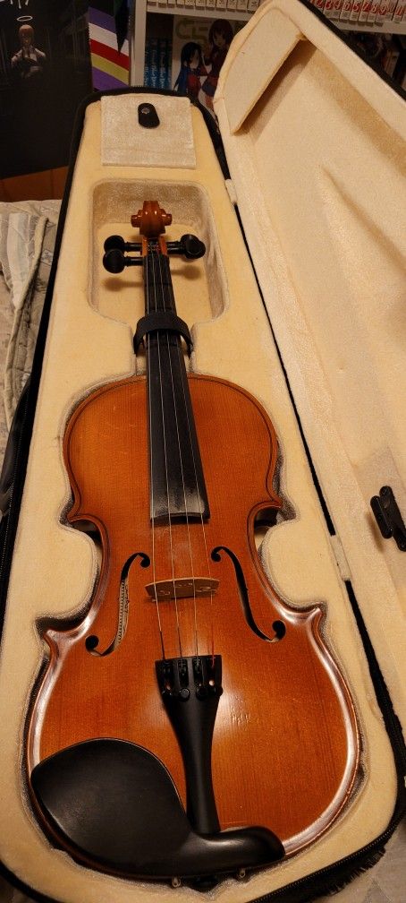Violin 4/4 model 3011 serial 204054