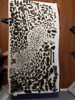Fossils