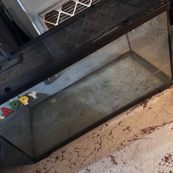 40gallon Breeder Tank 