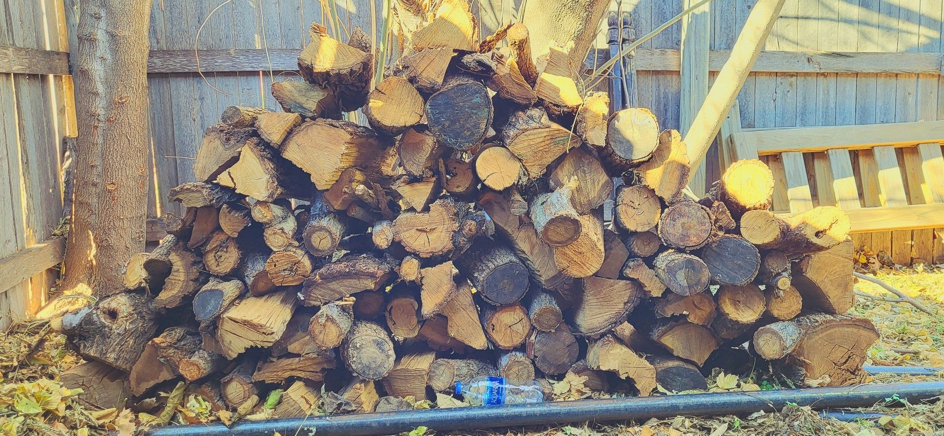 Seasoned Hickory And Walnut Wood