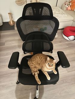Office chair
