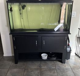 Fish Tank