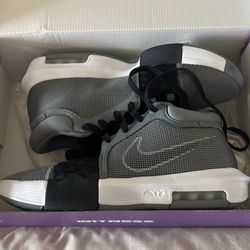 Lebrons Witness VIII