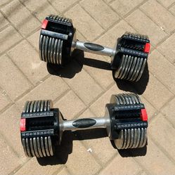 Weider adjustable dumbbells for sale hotsell