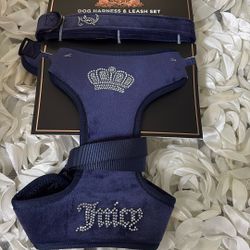 Brand New Juicy Contour, Dog, Harness And Leash Set