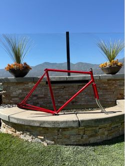 Nishiki International Chrome Molybdenum Lugged Frame & Forks Touring/Road 1973!