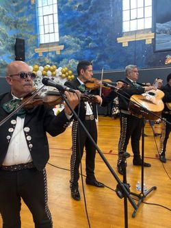 Violín arco de mariachi