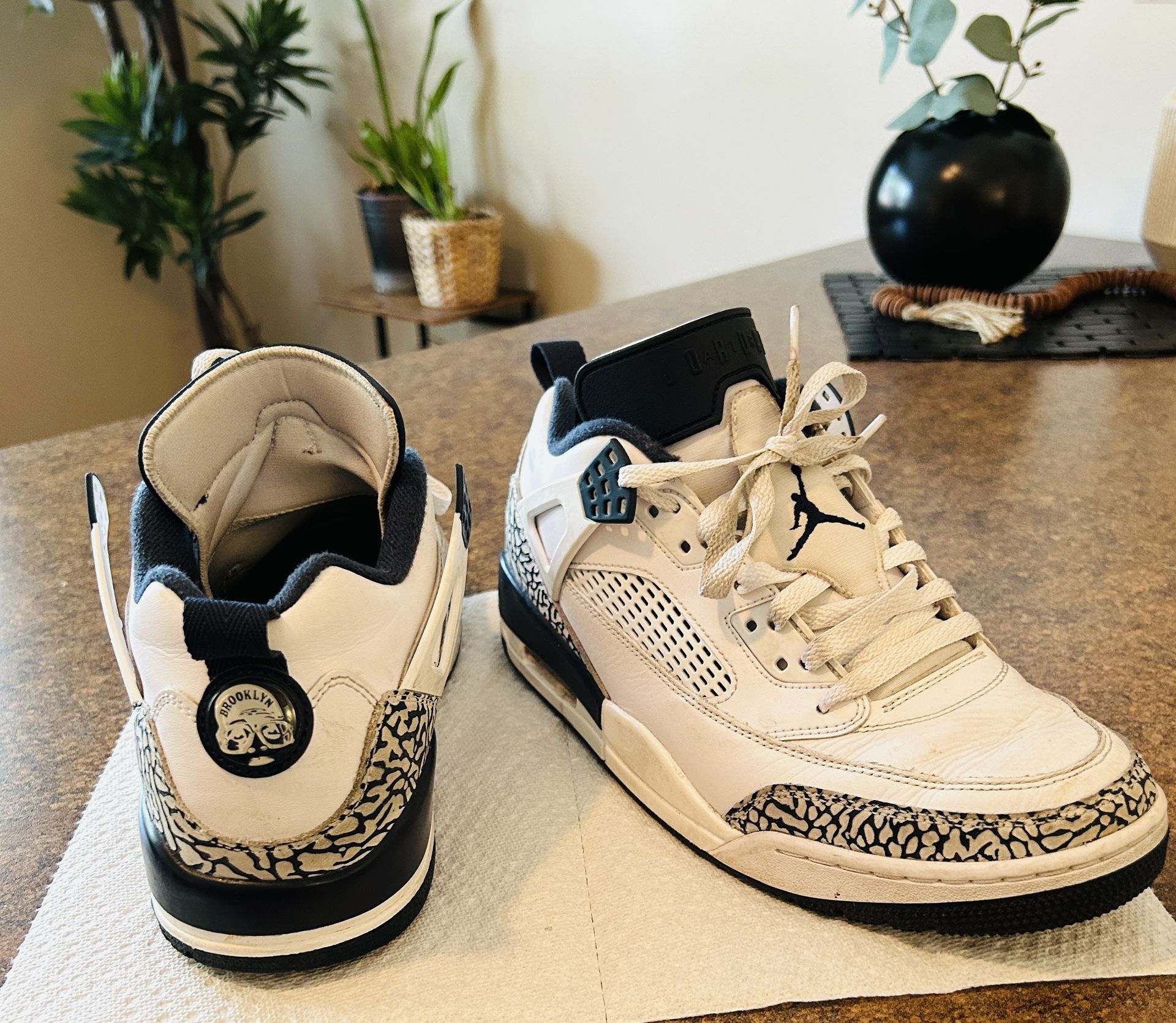 Men’s Jordan’s spizike Obsidian Shoes