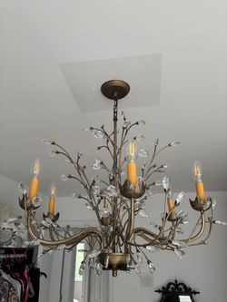 Crystal branch chandelier