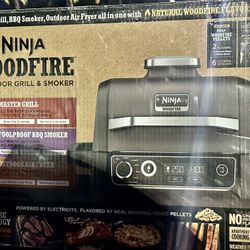 Ninja Woodfire Outdoor Grill & Smoker, 7-in-1 Master Grill, BBQ Smoker and Air Fryer with Woodfire Technology - OG701