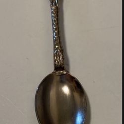 Vintage Palm Springs Collectors Spoon