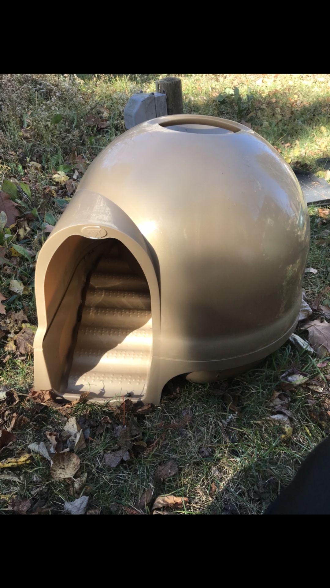 Walk Up Cat Litter Box