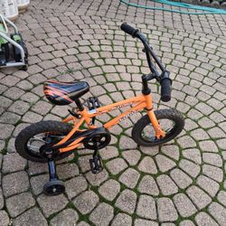 Pacific Logo Kids Bike 