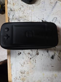 Nintendo Lite Case
