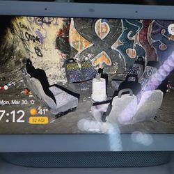 Google Nest Hub 7”