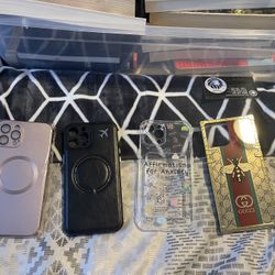 Case iPhone 12Pro Max