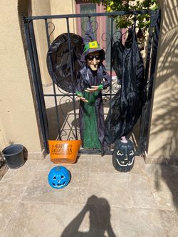 Halloween talking Witch  & others