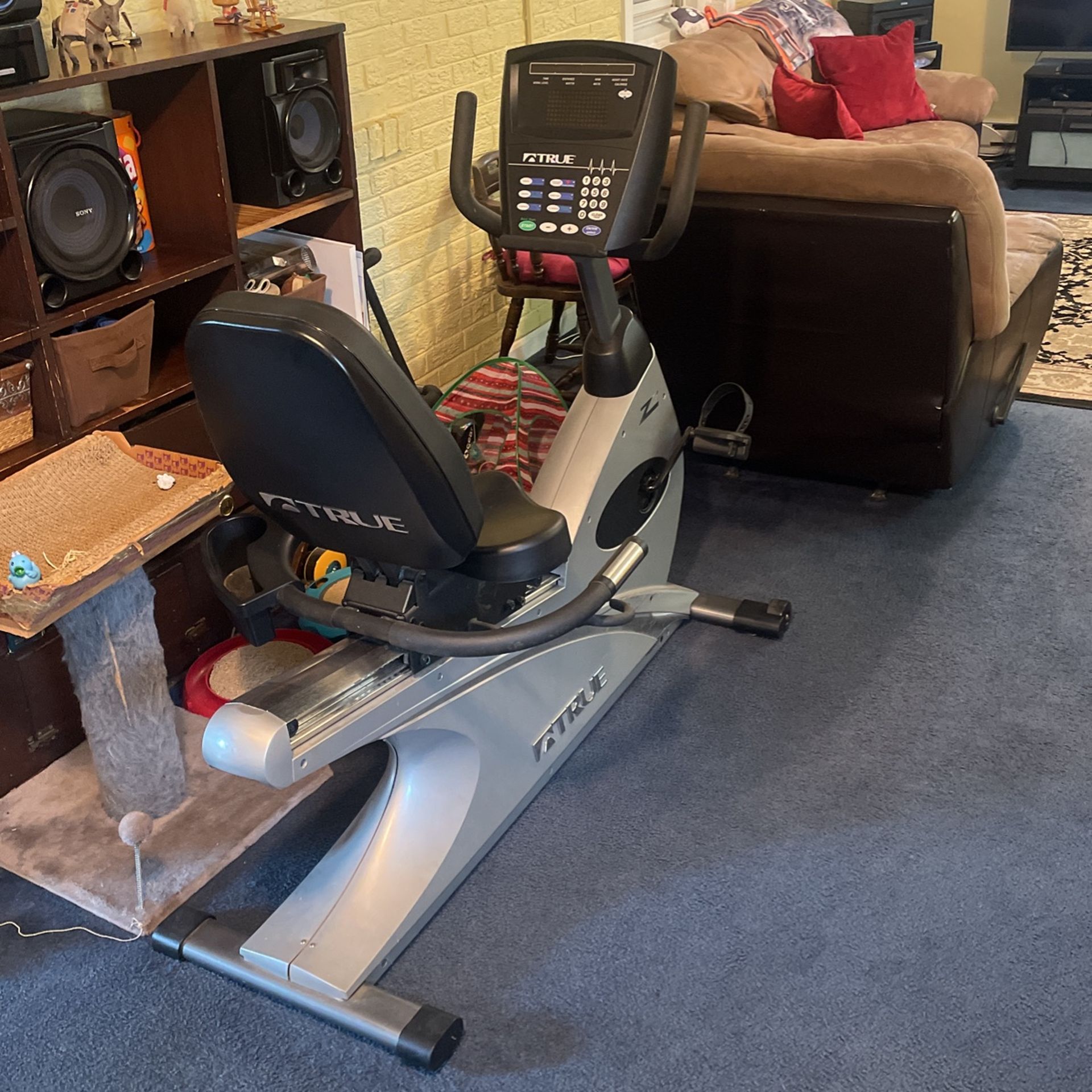 True Z7 Recumbent Exercise Bike