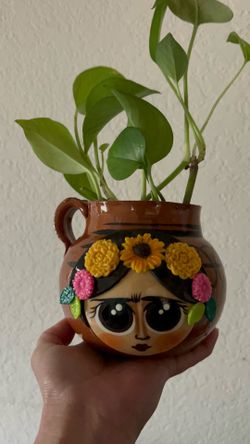 Plantita Bella y saludable en Jarrito Mexicano disponible en el area de Ontario