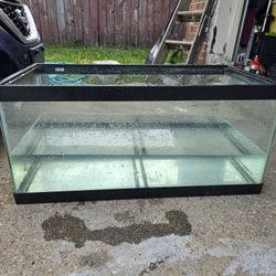 Fish Tank