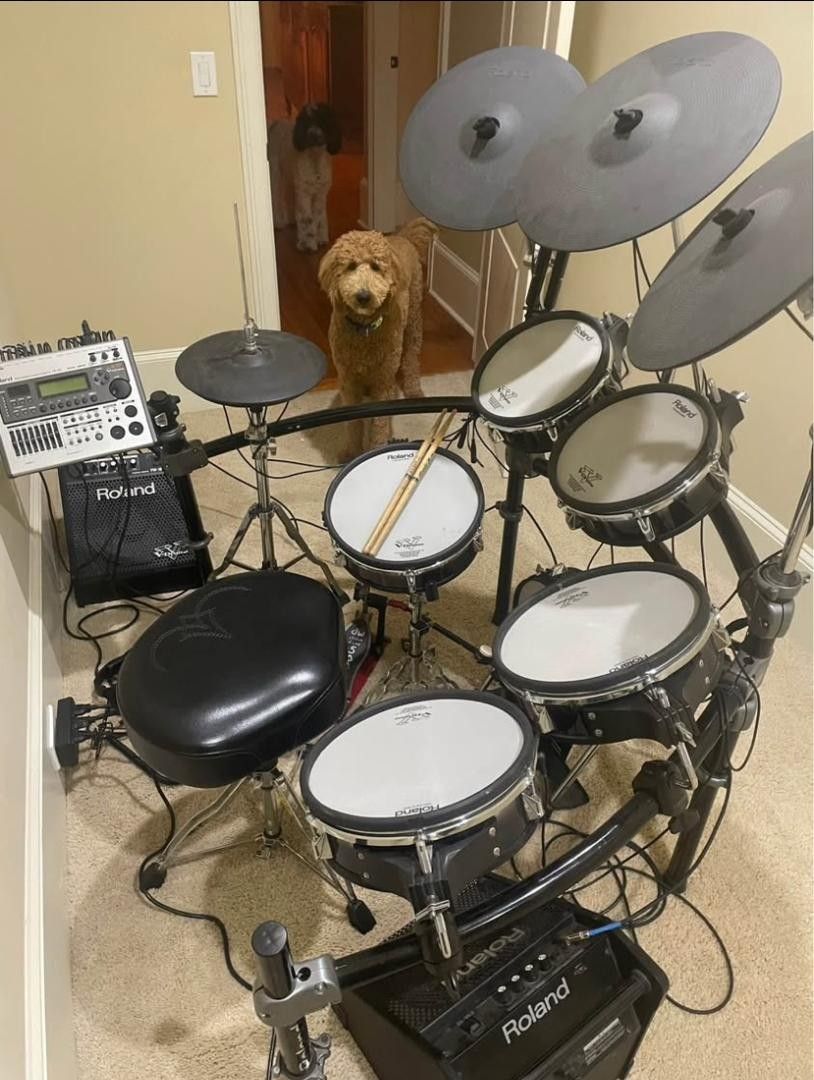 Roland-VDrums TD-20 w/expansion module