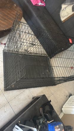 Big Dog Cage