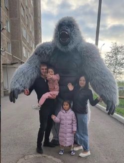 Gorilla Inflatable Halloween Costume