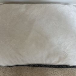 Brand new Vibrant Life dog bed