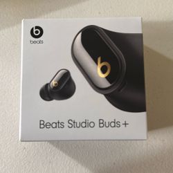 Beats Studio Buds + 