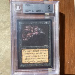 1993 Beta Terror C K