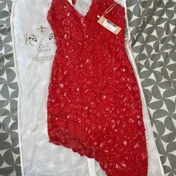 Large Red Handcrafted Ema Savahe Lux Couture Dress