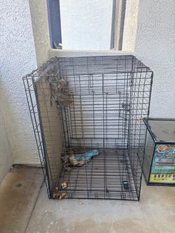 Reptile Habitat + Large Dog Crate – $80