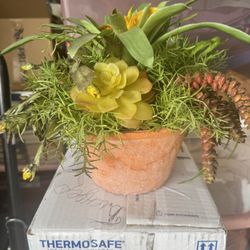 Plastic Succulent Plant 