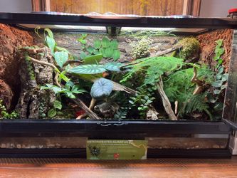 Vivarium Builds For Various Animals, Will Build for You.