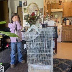 Bird Cage