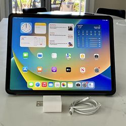 iPad Pro 12.9” 4th Gen 256GB - Excellent Condition