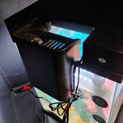Fish Tank Black Light Glow In Dark Tank