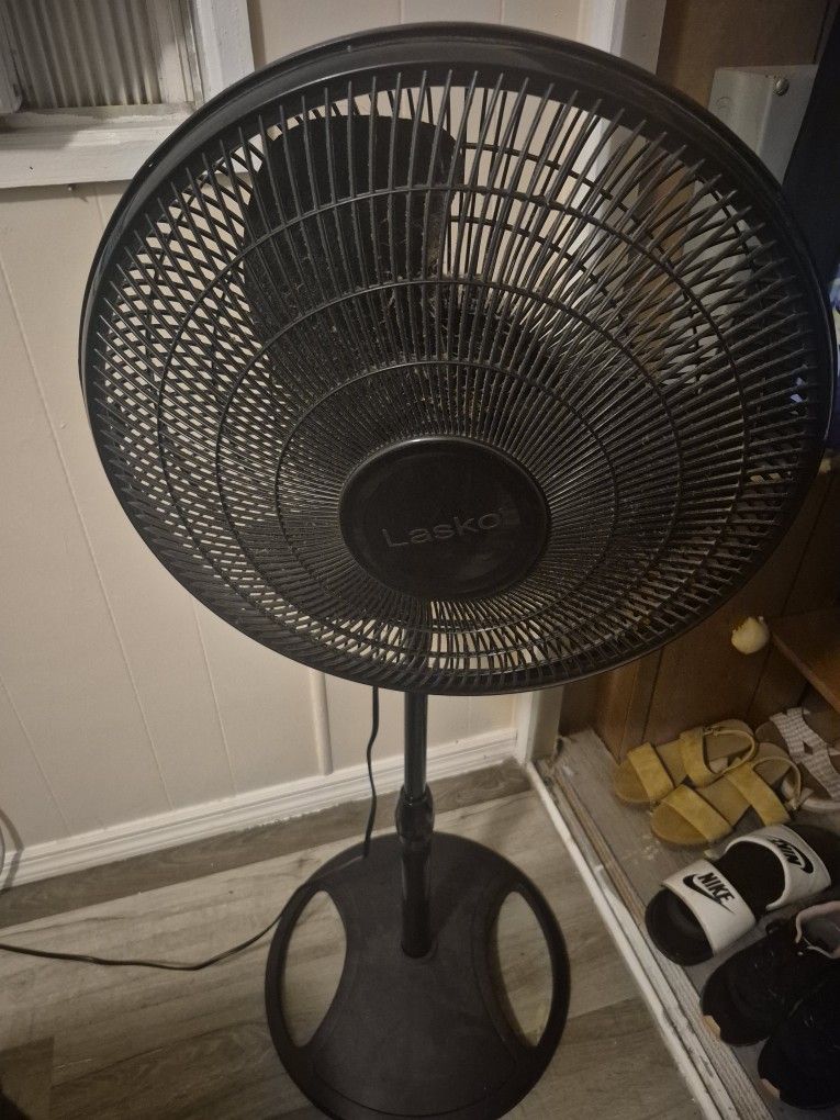 Fan