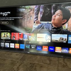 Vizio 55 Inch TV