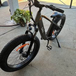 Electric Bike