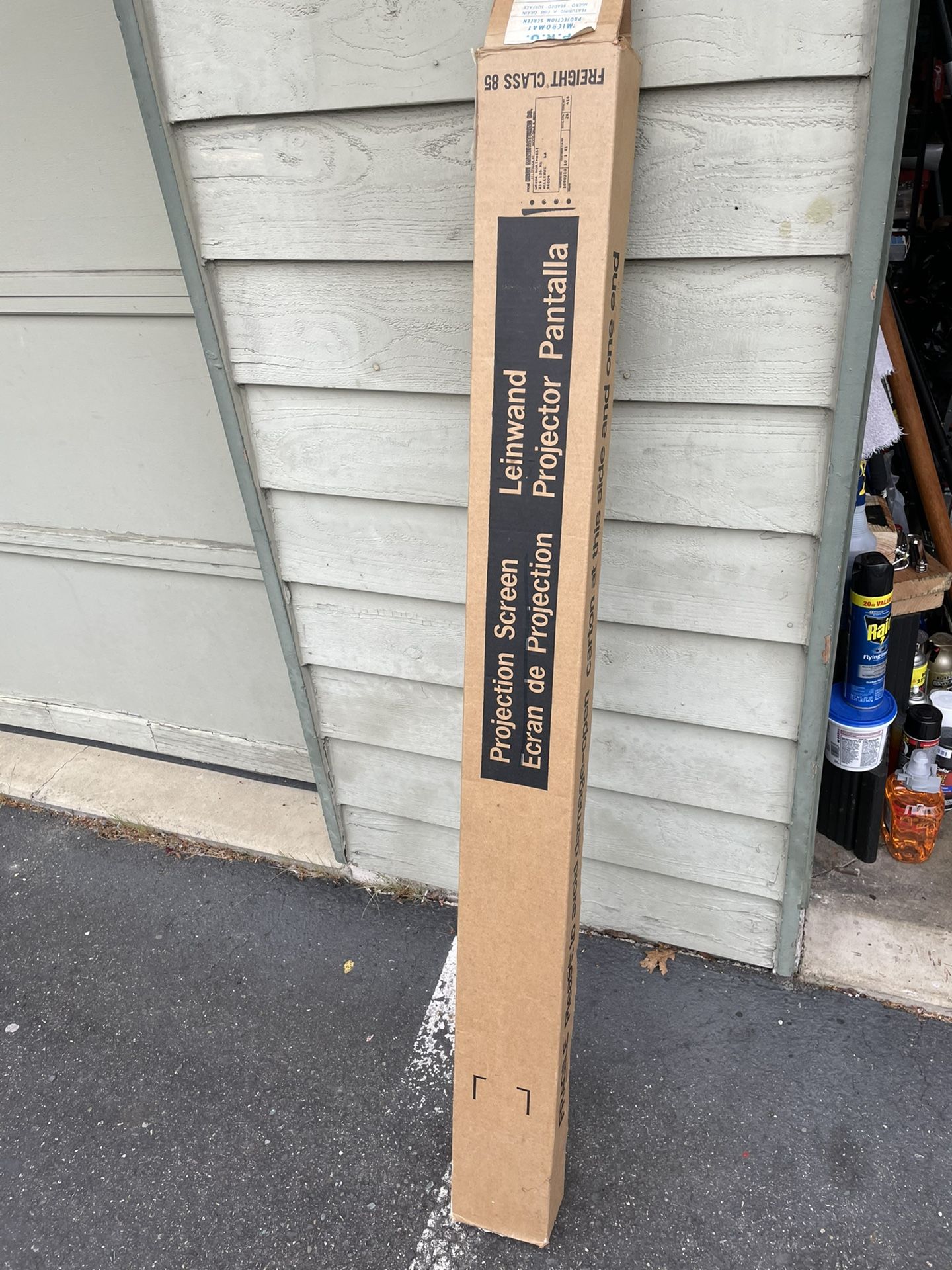 Projection Screen 50”x50”