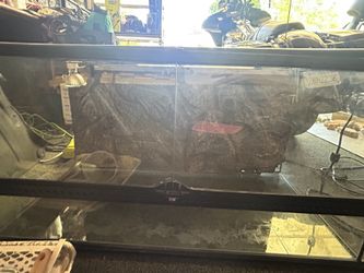 Zoo med reptile tank 40-50 gal