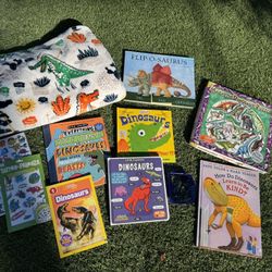 Lot of kids dinosaur items - books, new magnetic puzzle, blanket, stickers and temporary tattoos