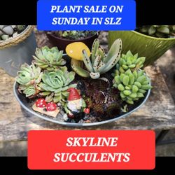 BIG PLANT SALE SUNDAY IN SAN LORENZO FROM 1PM TO 5PM. SUNDAY