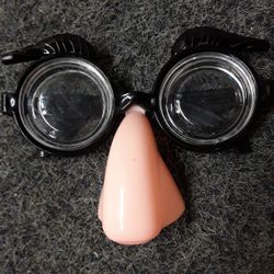 Nose glasses