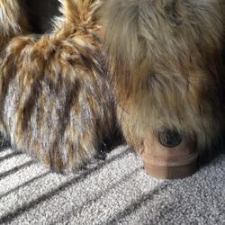 Bearpaw Fur Boots Size 8 Small Heart Fur Bag