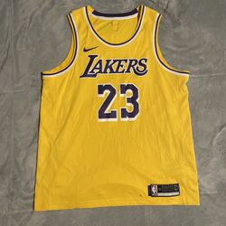 LeBron James L.A. Lakers Icon Edition Nike Jersey